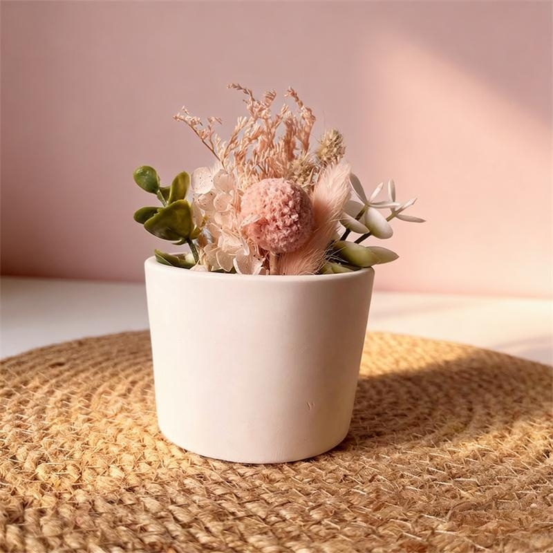 Round Plaster Vase Flowerpot C - Echeveria Succulent recension och pris