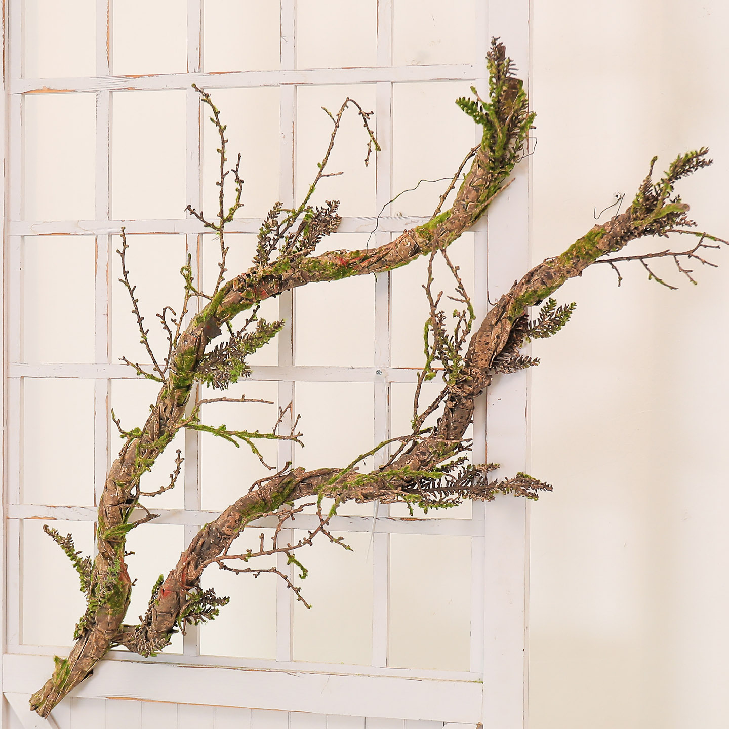 New Withered Vines Artificial  - Pilea Peperomioides recension och pris