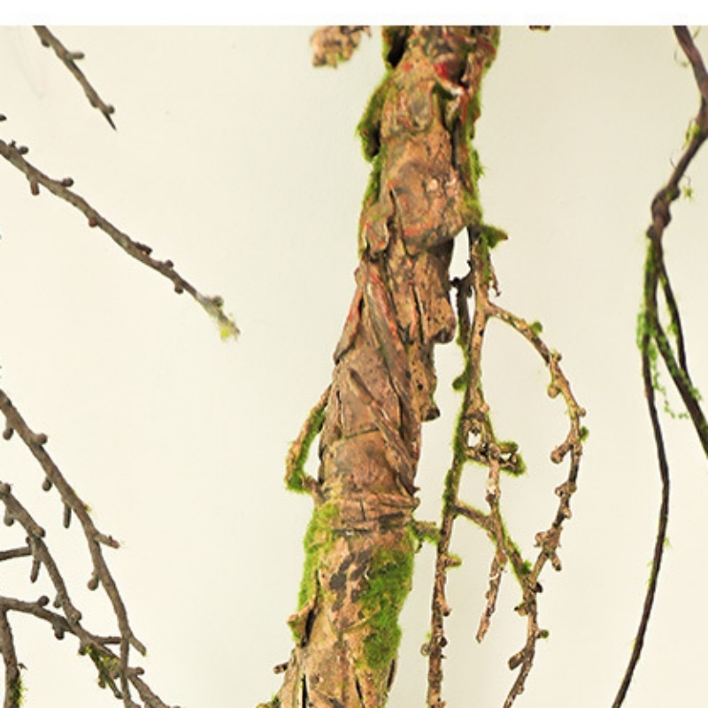 New Withered Vines Artificial  - Pilea Peperomioides recension och pris