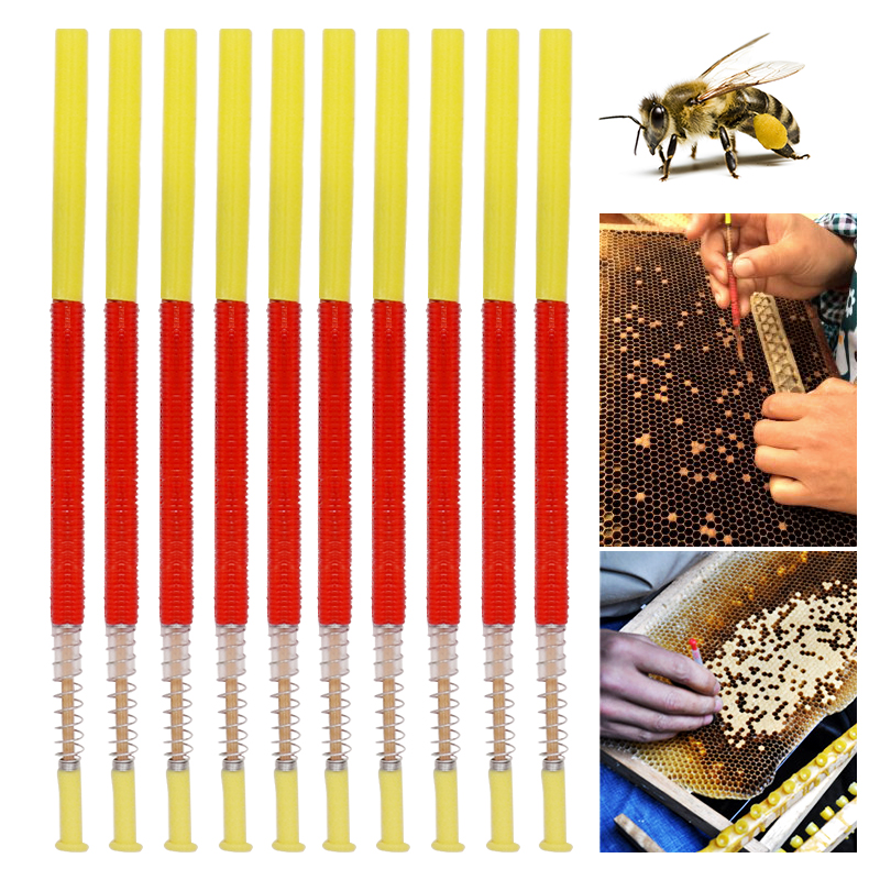 5/10Pcs Beekeeping Grafting To - Begonia Rex recension och pris