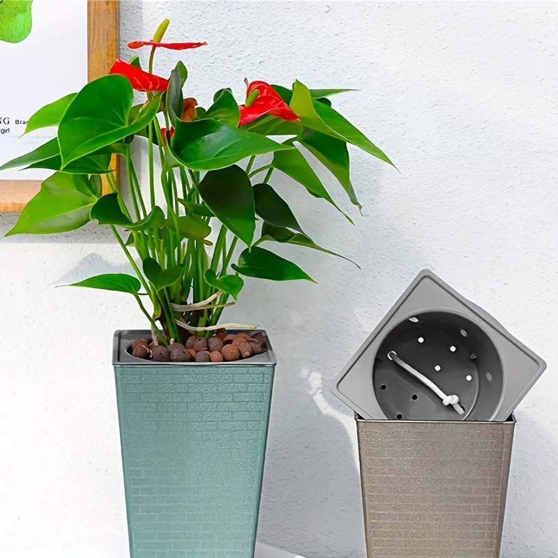 Plastic Brick Pattern Flowerpo - Pilea Peperomioides recension och pris