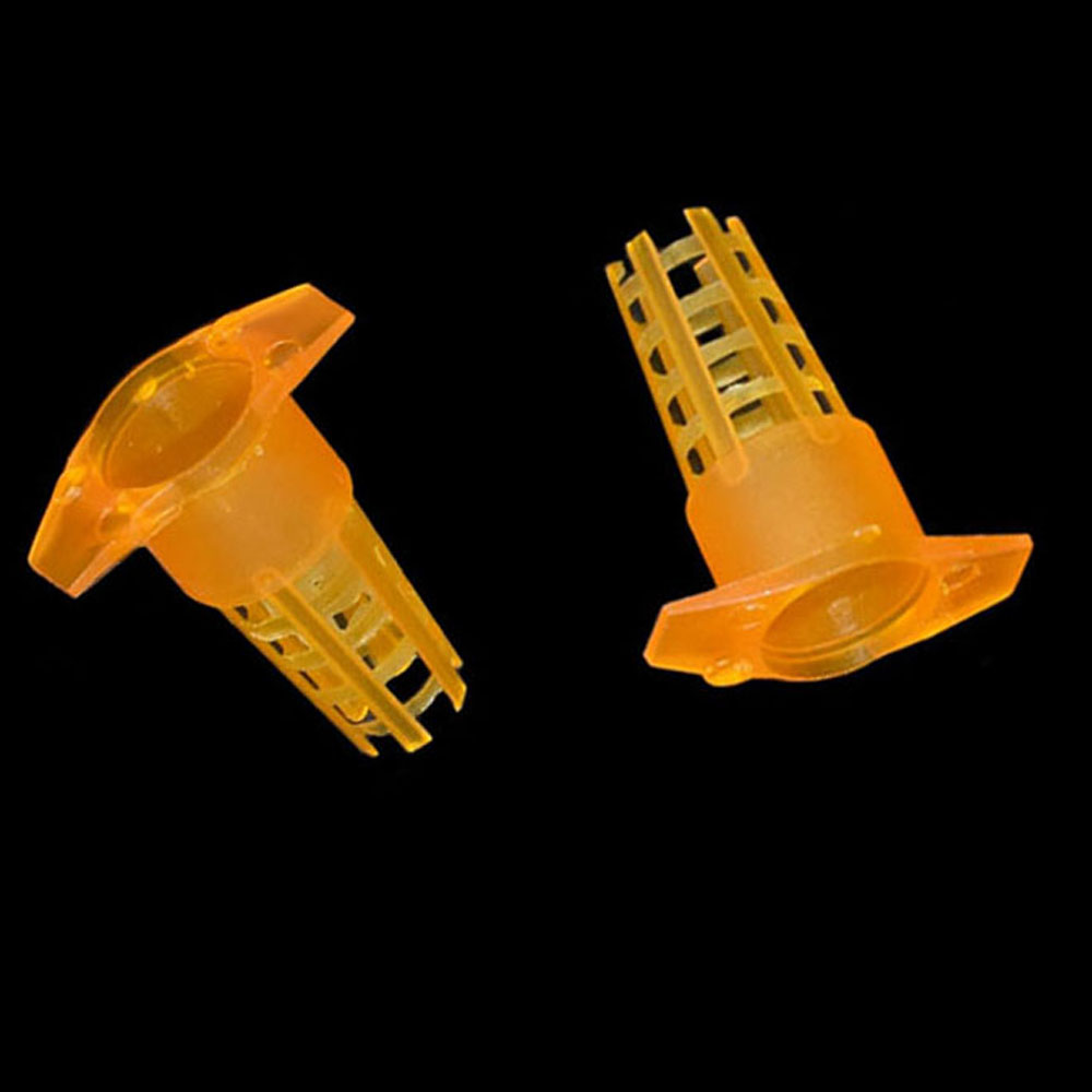 20 pcs Plastic Bee Queen Cage  - Begonia Rex recension och pris