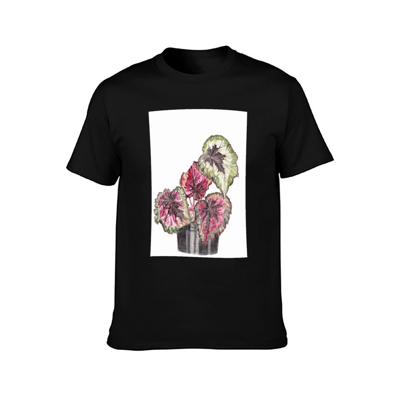 Begonia Rex T-Shirt Simple Gra - Begonia Rex recension och pris