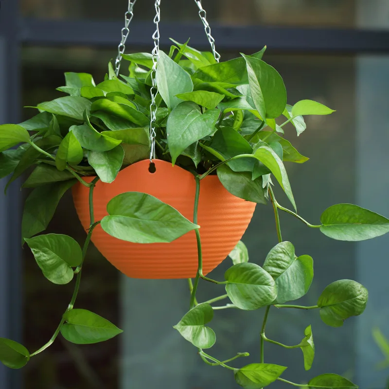 Creative Chinese Ceramic Flowe - Pilea Peperomioides recension och pris